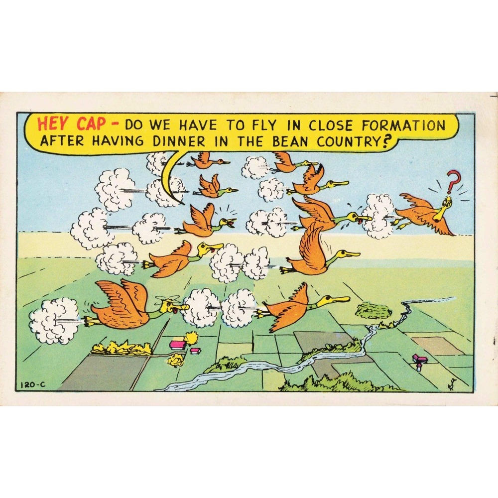 Vintage Baxtone Laff Gram Comic Postcard 120-C Duck Bean Country Humor VG+ - Picture 1 of 2